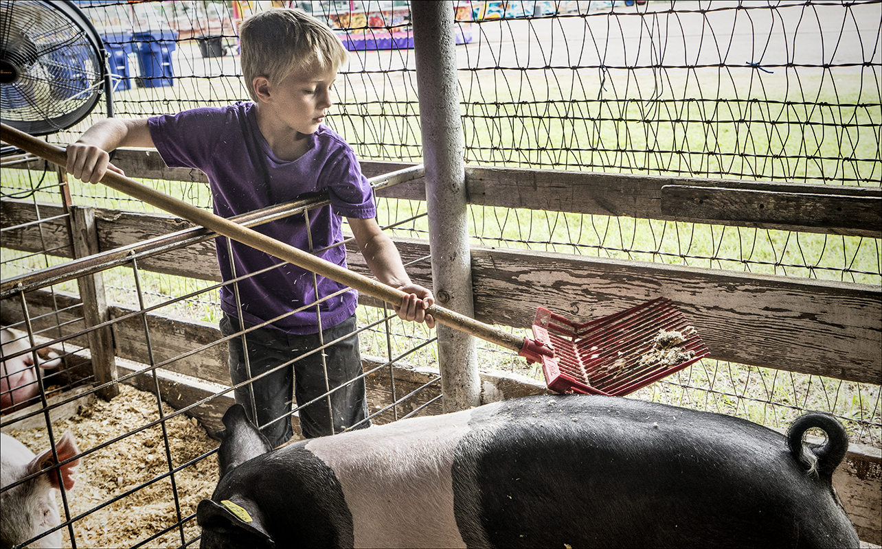 Cleaning Up After His Pigs