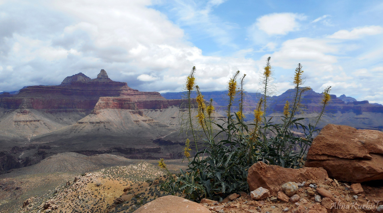 Grand Canyon NP