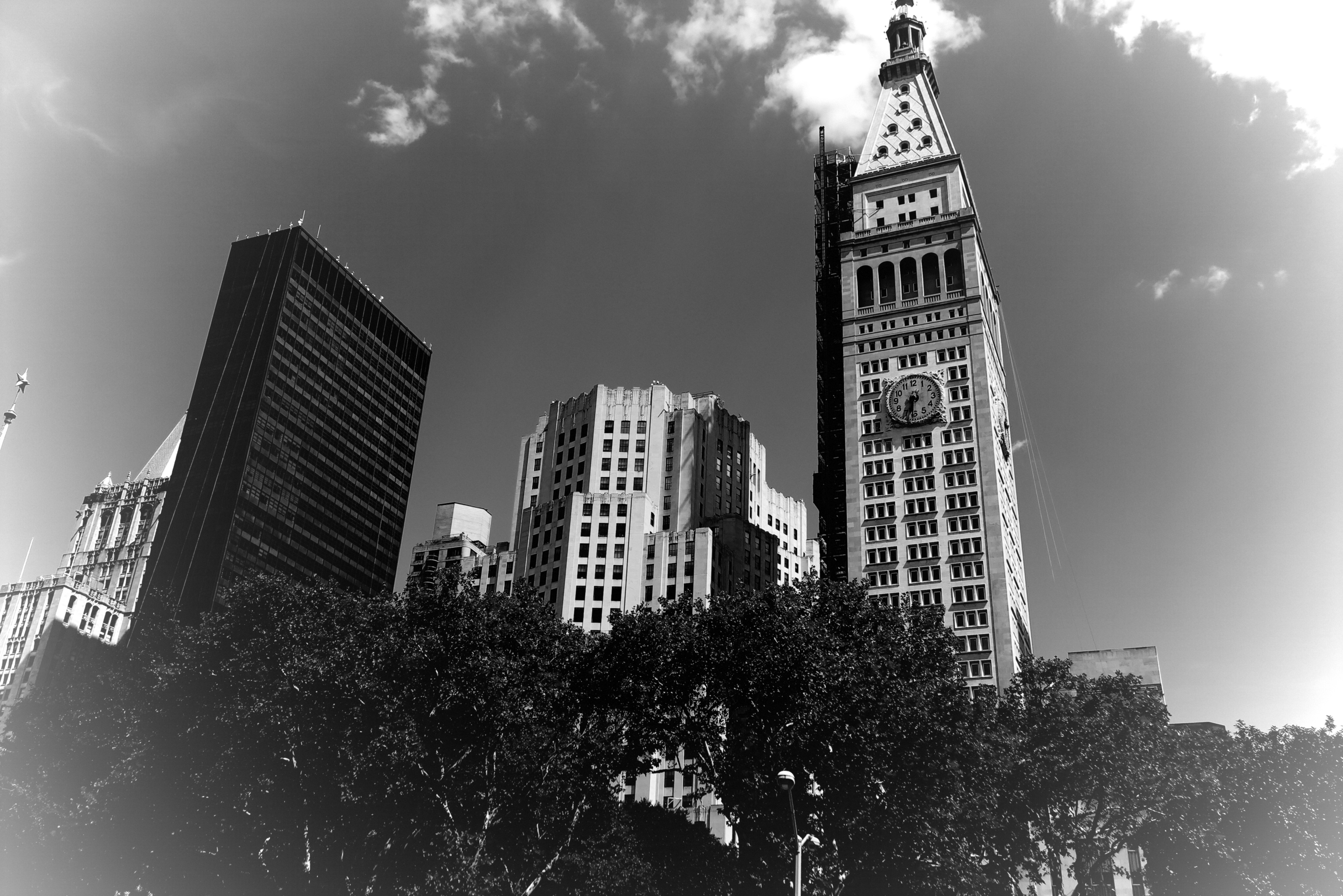 IMG_0750.JPG