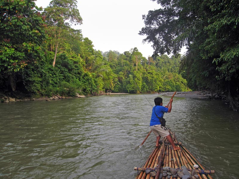 Tangkahan river