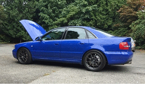 picasion.com_6c7aad9deab6dc8721951c49cd5cf948 1.gif