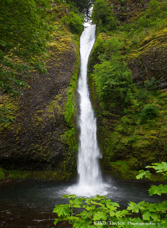 Horsetail Falls