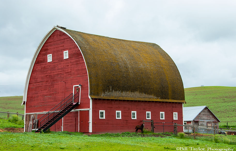 Palouse 2006