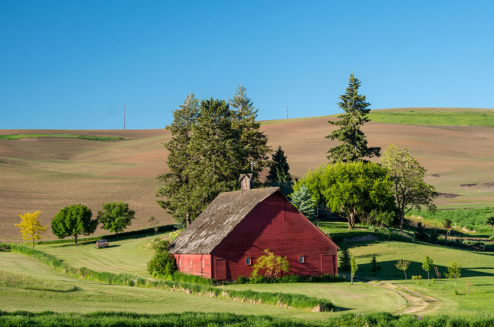 Palouse 2013