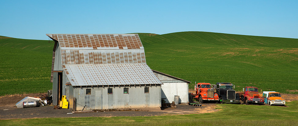 Palouse 2013