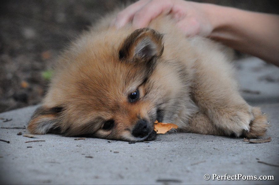 July17_14_436.JPG