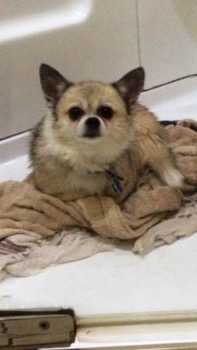 image2.PNG