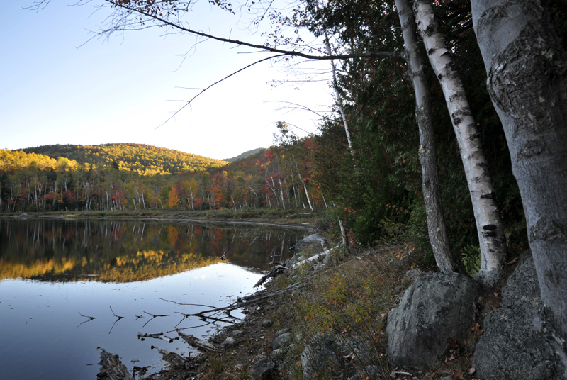 DSC_3791.JPG