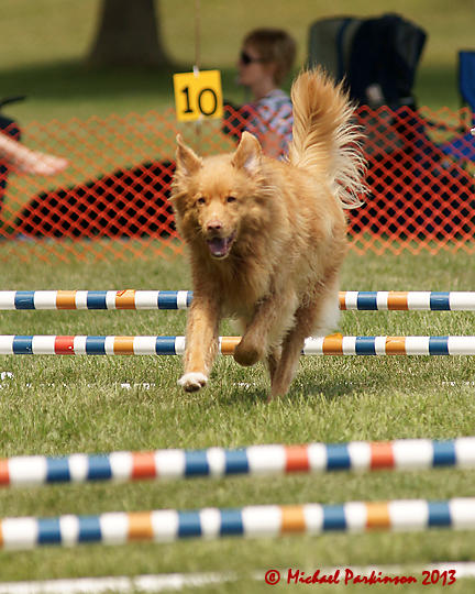 The Agility Connection 03821 copy.jpg