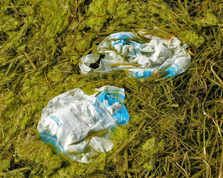 Slobs  2806 copy.jpg