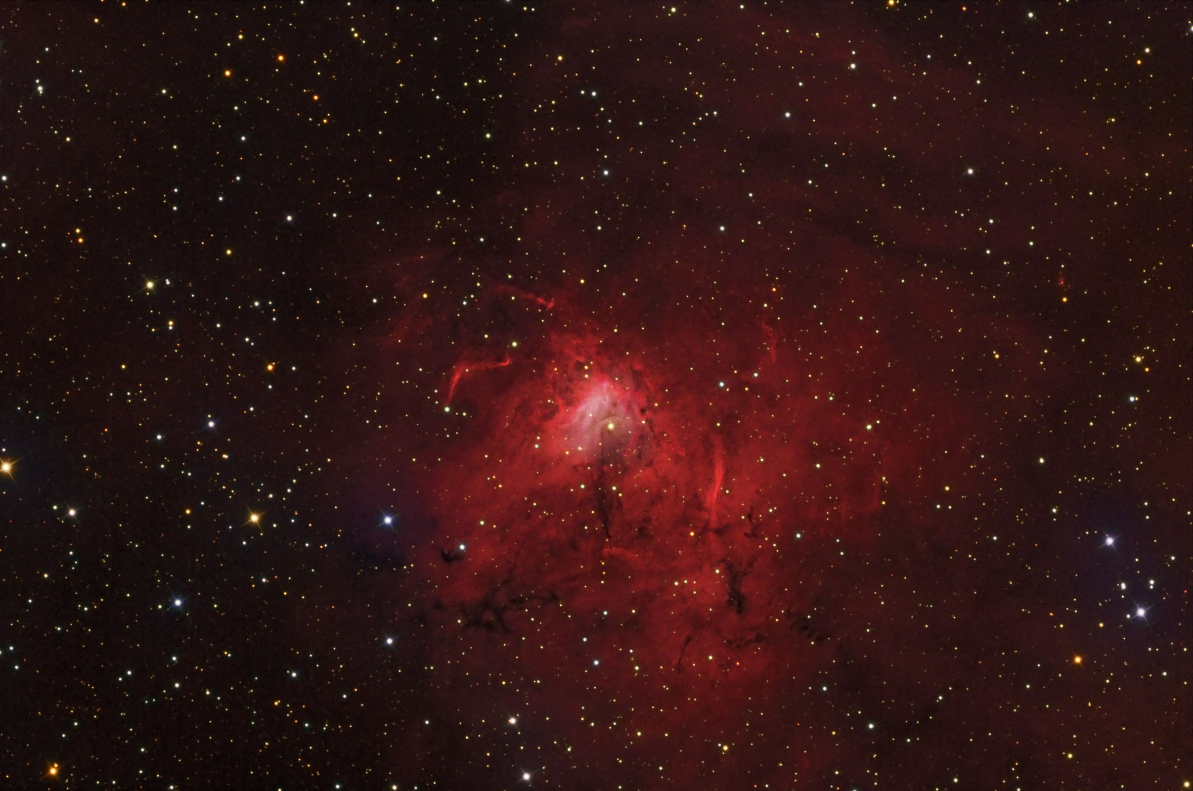 NGC 1491 / Sharpless 206