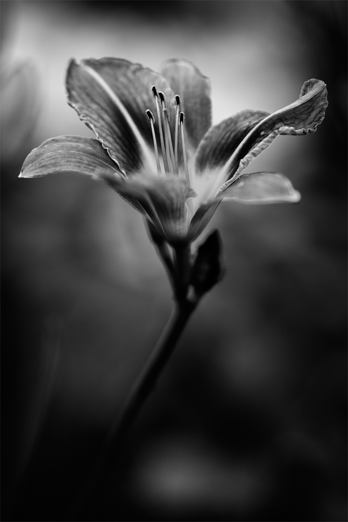 20130717 - Flooer