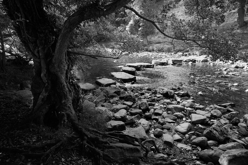 20130811 - The Stepping Stones