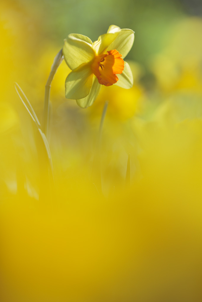 20140408 - Standing Out from the Crowd