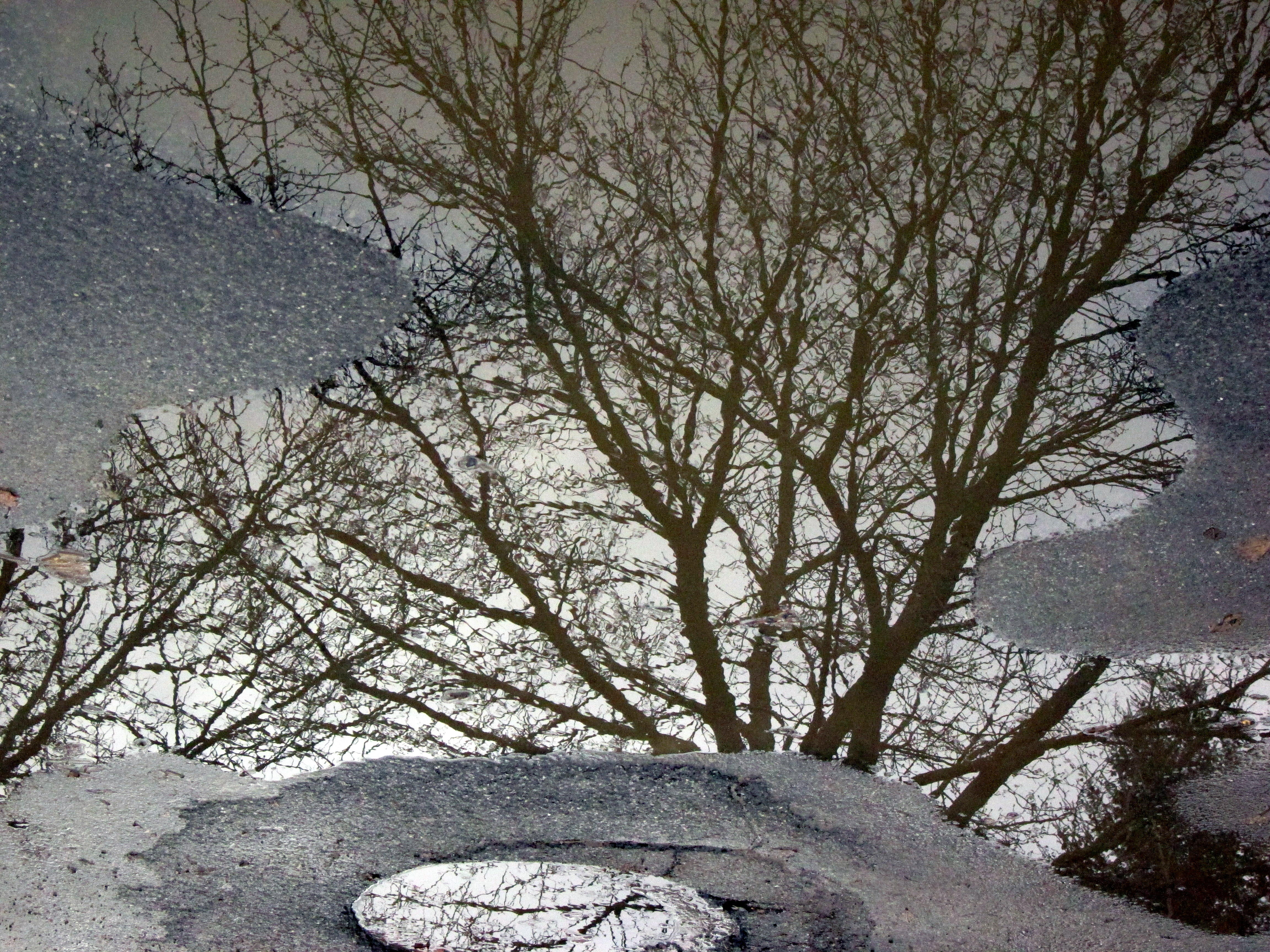 Spring Pools