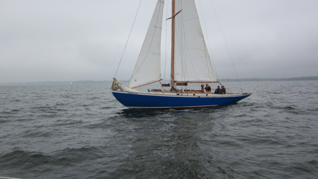 IMG_3336.jpg