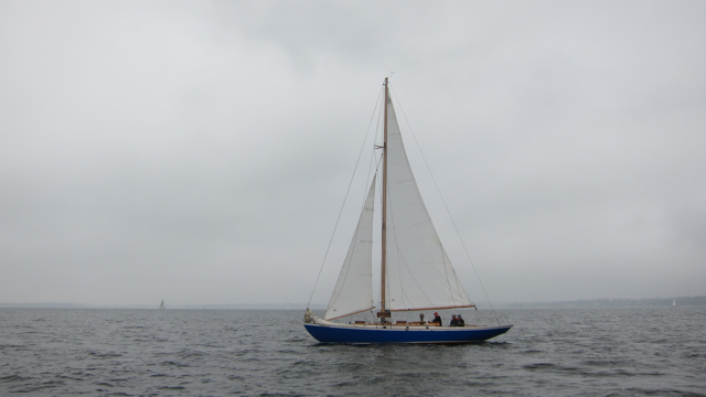 IMG_3337.jpg