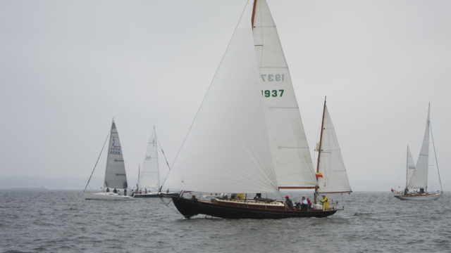 IMG_3339.jpg