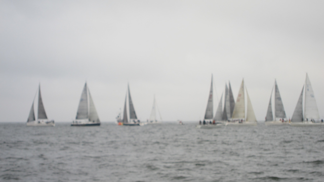 IMG_3342.jpg