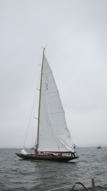 IMG_3343.jpg