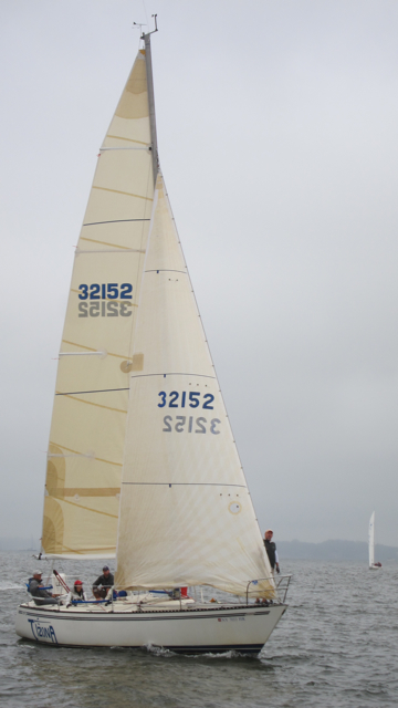 IMG_3353.jpg