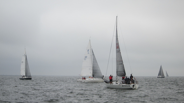 IMG_3356.jpg