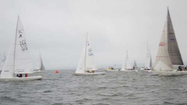 IMG_3367.jpg