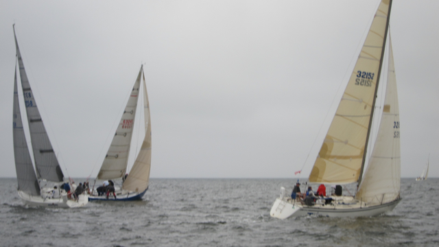 IMG_3384.jpg