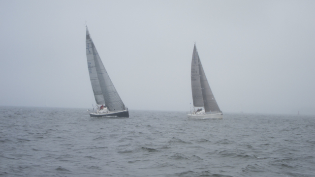 IMG_3474.jpg