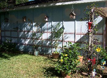 birdhouses