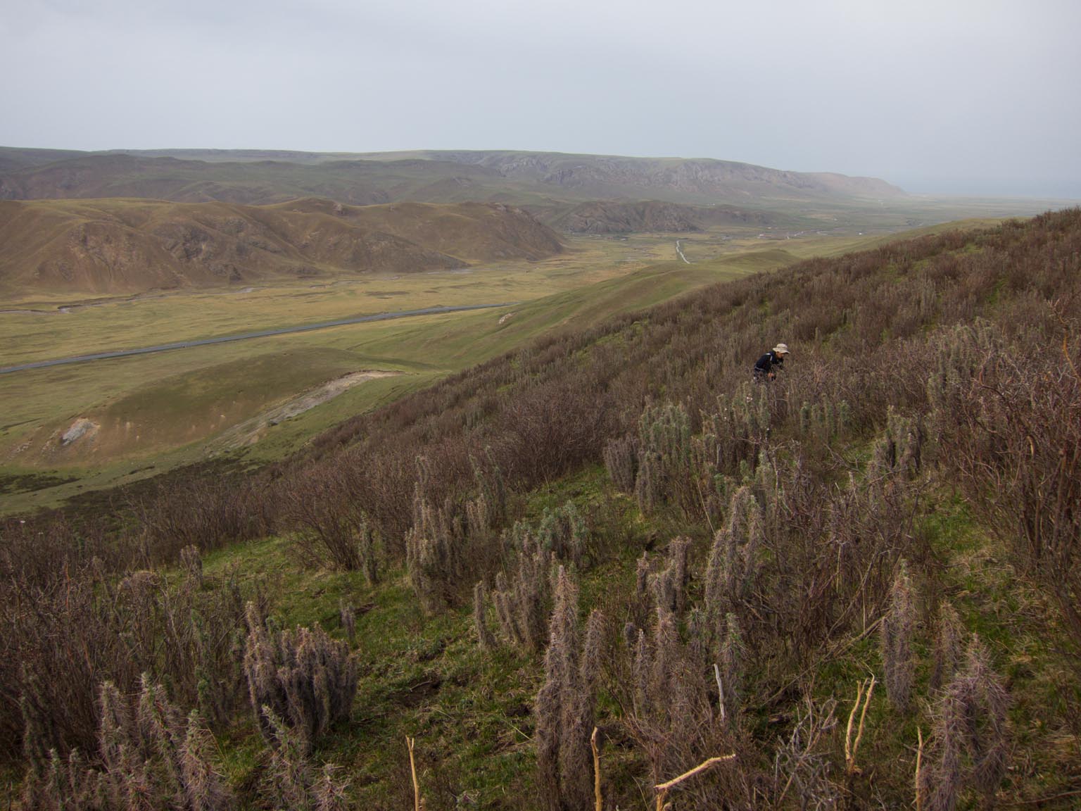 Rubber Mountain, west of Qinghai Lake