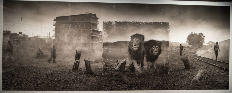  Photo by Nick Brandt