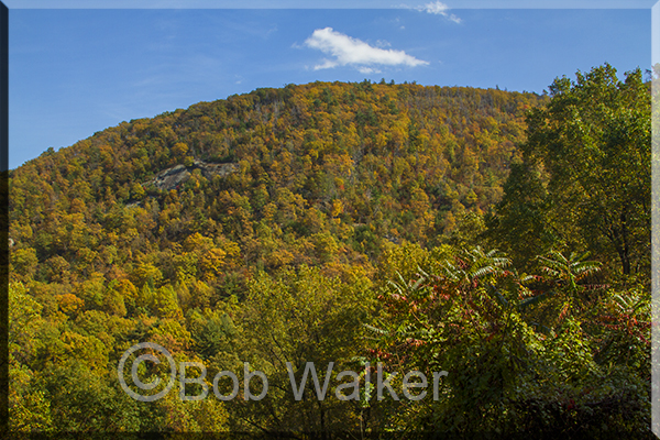 Great Fall Foliage Along The Parkway