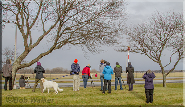 Birding Groups Pay A Visit To Our Airport