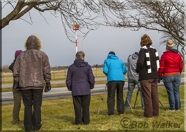 The Birders Enjoying Themselves