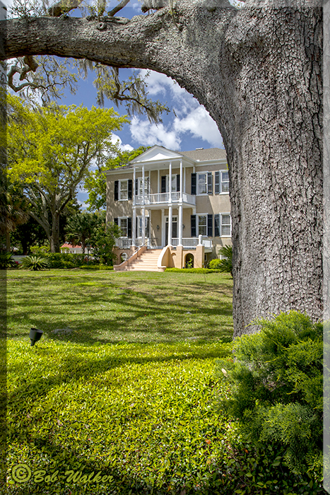Another View Of The Fuller House