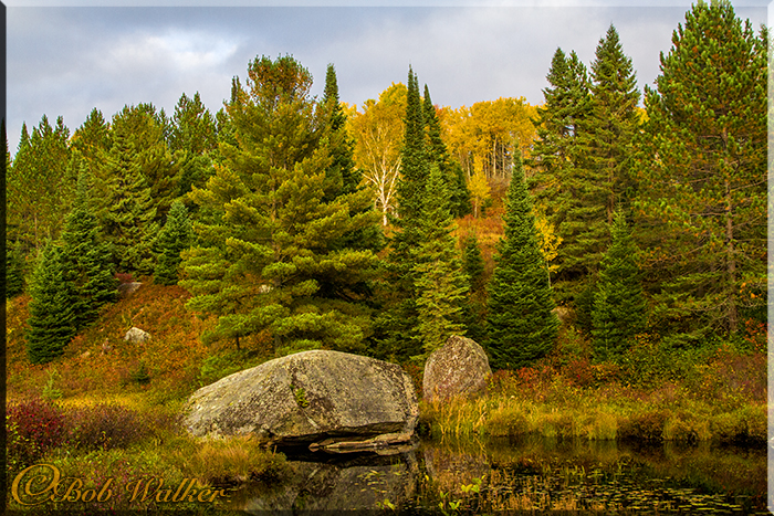 Turtle Rock Fall Of 2014 In A Different Light