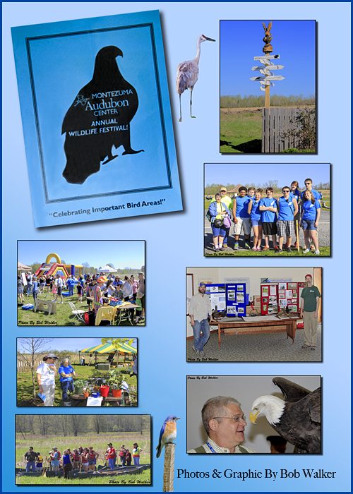 Wildlife Festival, Its An  Annual Event