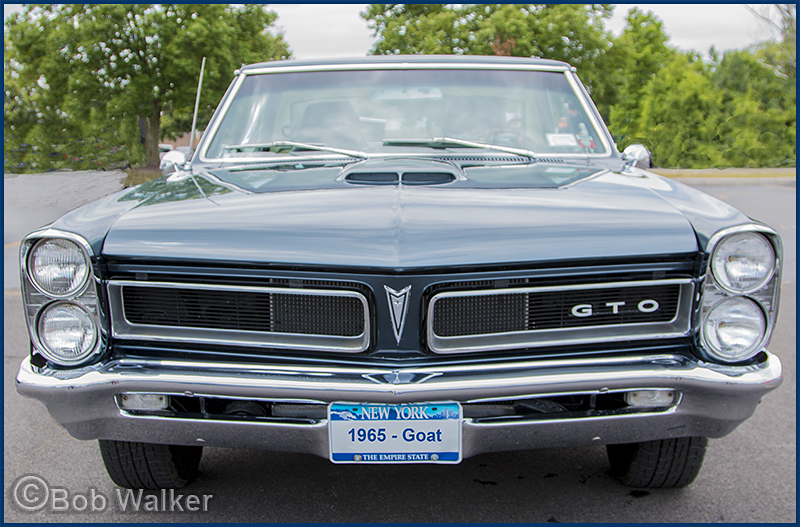 The Car Its Self, The 1965 GTO 