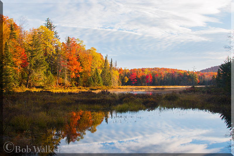 Our Adirondack Park In The Fall Of 2015