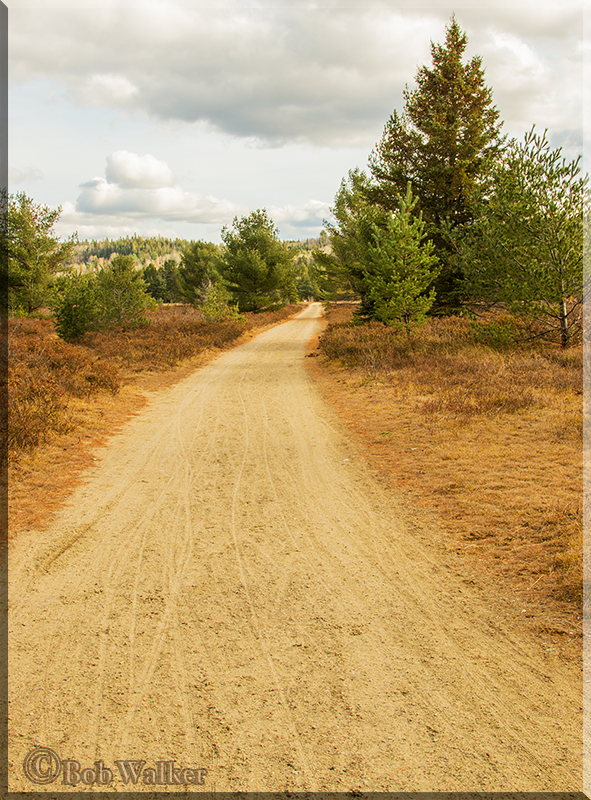 Abandon Airfield With Trail Going Through Bear Country