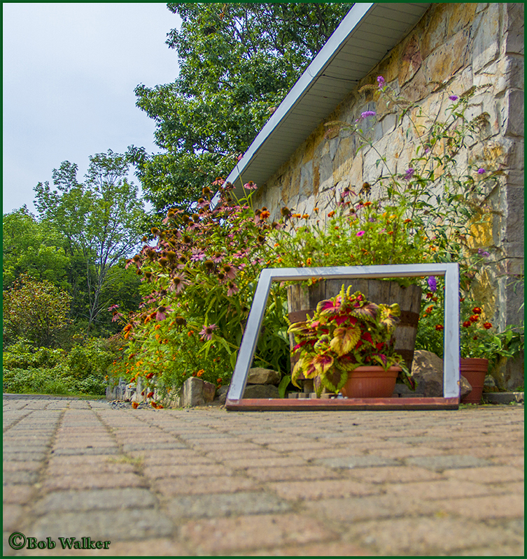 Framed Flowers At Entrance 
