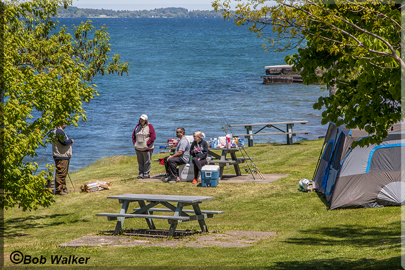 People Enjoying Camping  And Fishing Together 