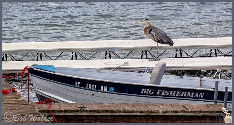 The Boat Just About Says It All Here