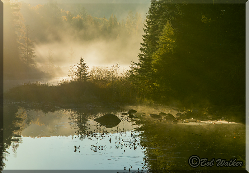 Morning Sun Peeking Through The Narrows