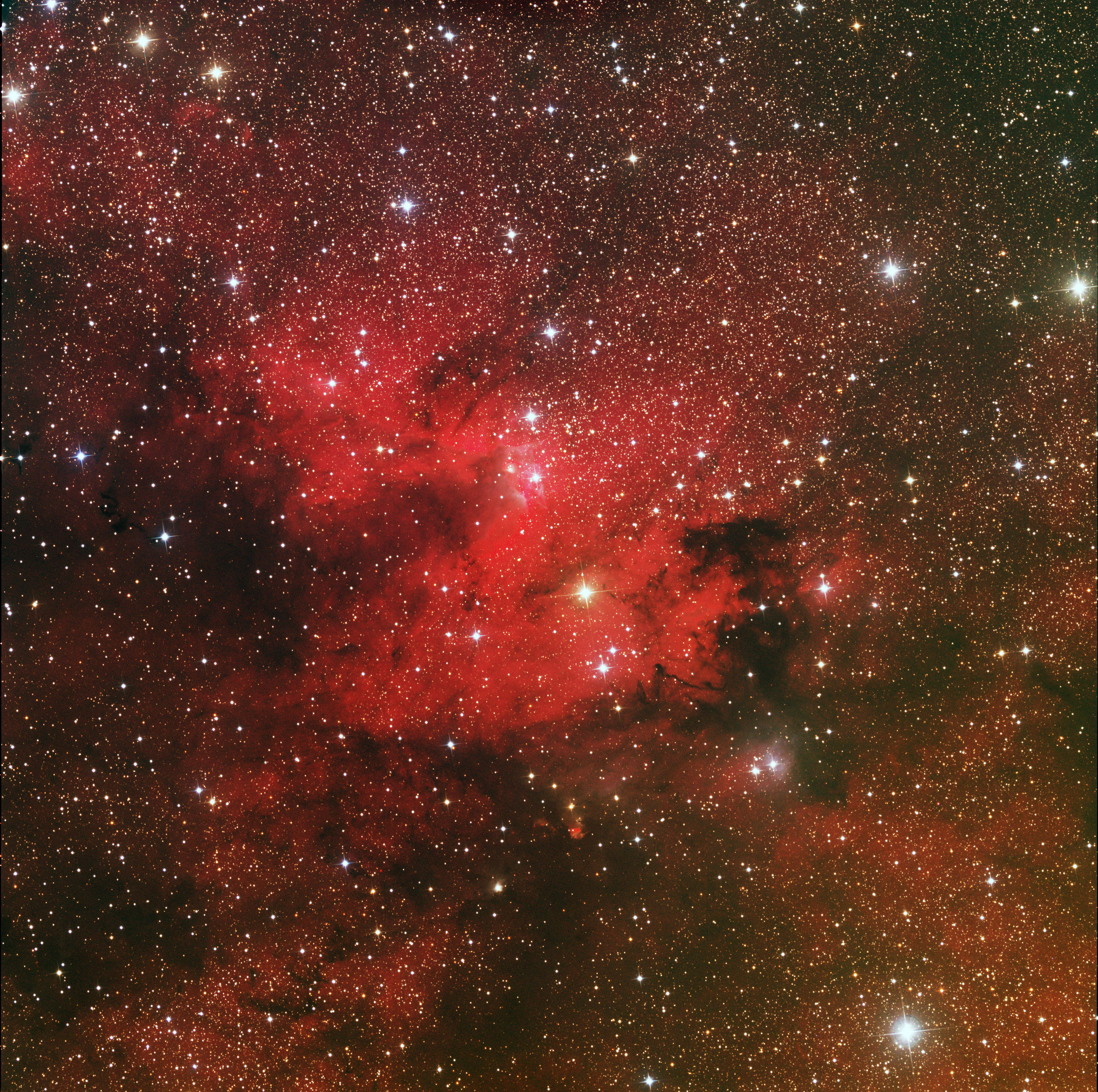 Cave Nebula in 2 Degree Field