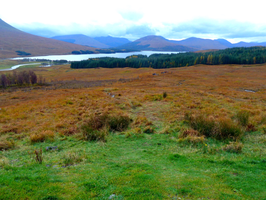 Rannoch Moor View (4).JPG