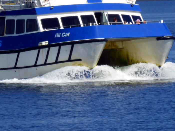 ARGYLE FERRIES - ALI CAT approaching Dunoon, Scotland