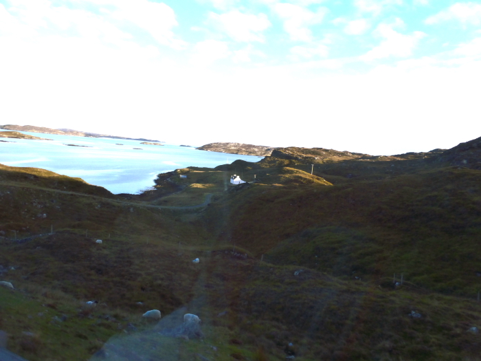(601) Lewis View