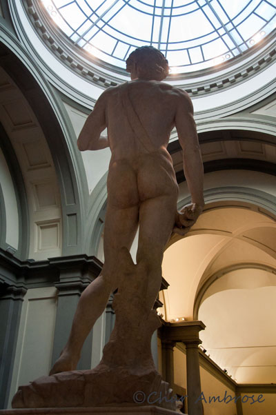 The David - Rear View